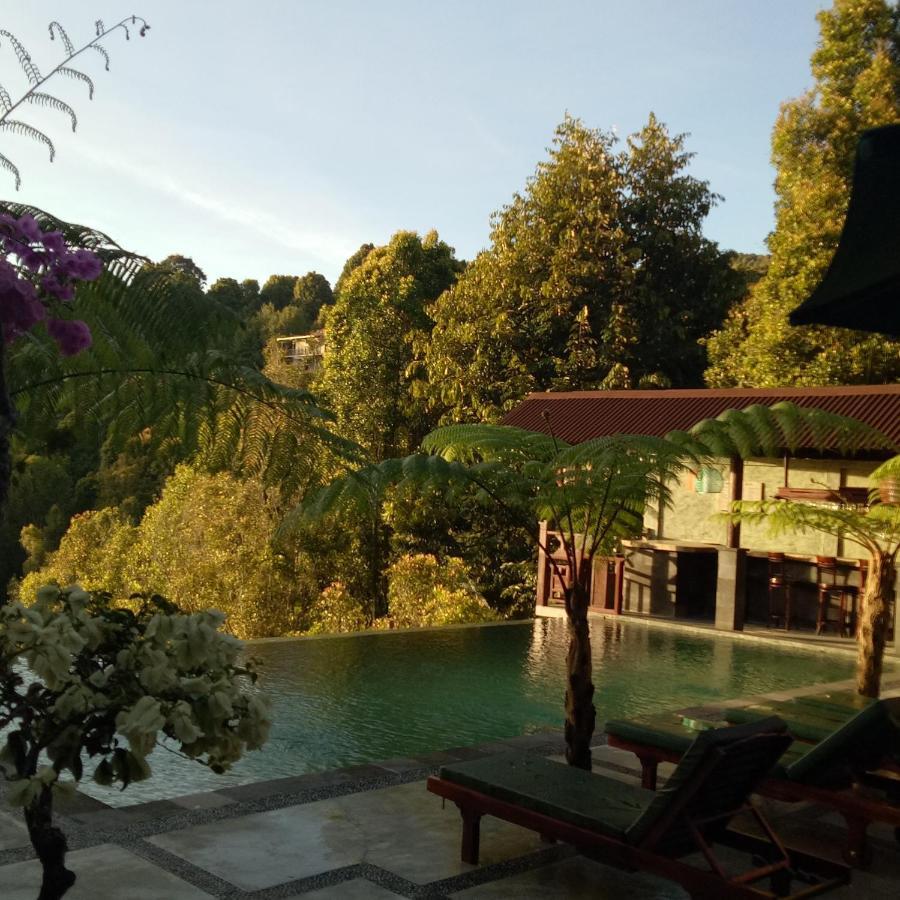 Bintang Munduk Hotel Eksteriør billede